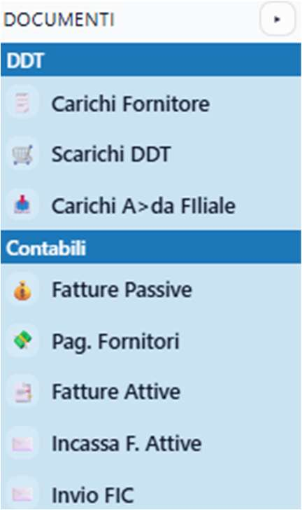 Menu documenti con carichi fornitori, scarichi DDT, carichi filiale, fatture passive, pagamenti fornitori, fatture attive e incassi